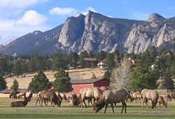 Поле для гольфа Estes Park