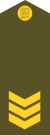 Estonia-Army-OR-8.svg