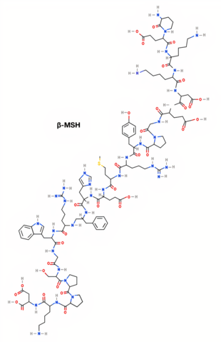 Estructura 2D (β-MSH)