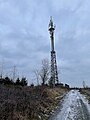 Abgeholzter Wald im Januar 2021