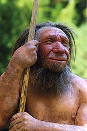 Reconstruction of an elderly Neanderthal man Homo sapiens neanderthalensis-Mr. N.jpg