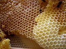 Alvéoles d'abeilles dans ABEILLES 220px-Honey_comb