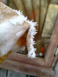 Potassium bisulfate crystals on filter paper