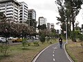 Bike Path at Carolina Park