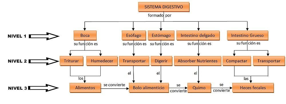 Niveles de Jerarquización.jpg