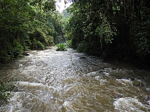 Rio Batari