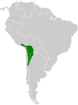 Distribución geográfica del yal cabecinegro.