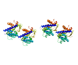 Protein RNMT PDB 3BGV.png