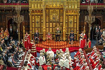 Při projevu ve Sněmovně lordů (2022)
