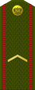 Russia-Army-OR-2-1994-field.svg
