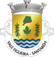 Vlag van Vale de Figueira