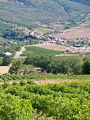 Sainte-Jalle and its vineyards