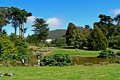 Ботанический сад Сан-Франциско Great Lawn 2.jpg