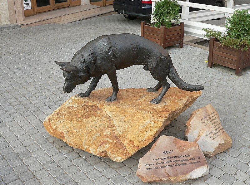 Fájl:Sculpture mancsdog miskolc.jpg