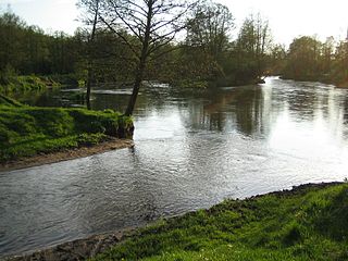 Confluence the Skroblus and the Merkys