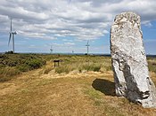 Menhir von St Breock Downs