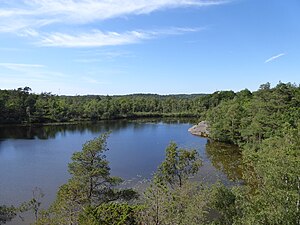 Svarttjärnen från nordost den 8 juli 2023.