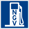 NGV Gasoline