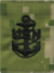 Куртка USN CPO, AOR-2.png