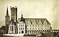 Zamek w Brzegu, miejsce narodzin