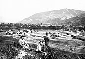 Construction du chemin de fer de la Bosna à Žepče, 1879