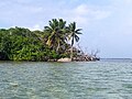 La plage de l'îlet Fortune et son carbet.