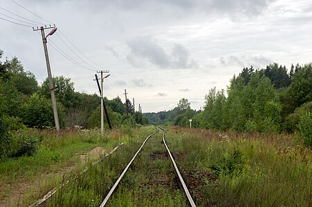 Железнодорожный путь у бывшей станции Скворцово