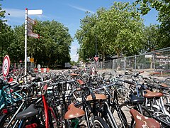 Leiden, abgestellte Fahrräder