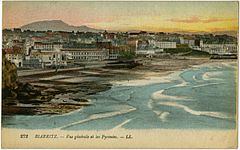 272 BIARRITZ. - Vue générale et les Pyrénées