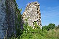 Château des Roches-Tranchelion. Pans de mur (2014)