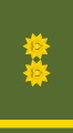 Insignia de general de brigada de la Policía Nacional.