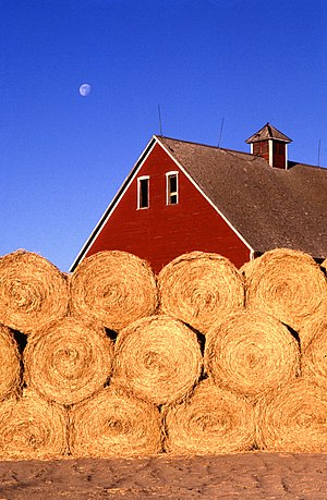 Straw bales in front of a small farm near Ames...