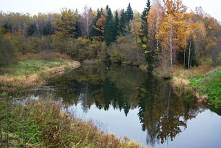 Bartuva prie kelio Skuodas-Salantai tilto. Plaukimas baidarėmis. Foto:Vilensija