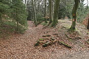 Bild 7: Ringwallabschnitt an der Westspitze des Bergkegels (Dezember 2013)