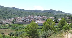 Skyline of Capçanes