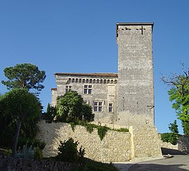 Plieux Castle