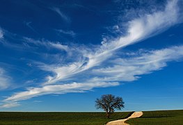 Ciel bleu près de San Magno dans la campagne de Ruvo di Puglia.