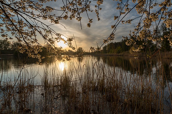 圖為奧德萊池塘的日出，該池塘位於德國北萊茵-威斯特法倫州迪爾門的基爾希斯佩爾。