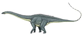 Диплодок (Diplodocus)