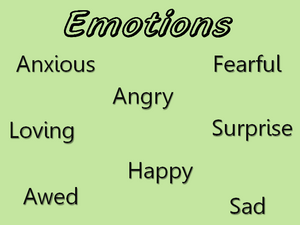 English: Emotions Q-sort