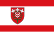 Halle zászlaja