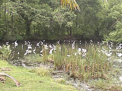 Kuthiathode, India