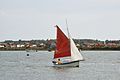 Le sloop « Le Pétoncle » en route vers La Tremblade.