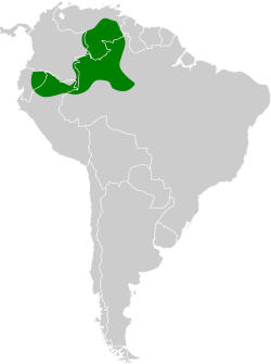 Distribución geográfica del trepatroncos del Duida.