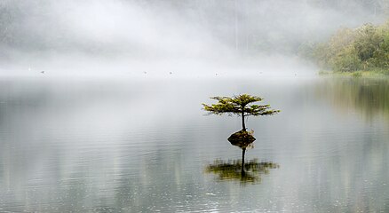 Fairy Lake, Vancouver Island