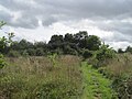 Moat Mount near Barnet Road