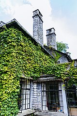 Front corner of Morgan House clad with ivy