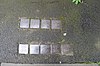 Nierstein, Stolpersteine neben Rheinstraße 10