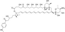 Perimycin A.png