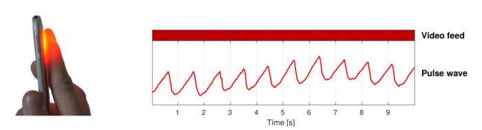 Das Bild zeigt ein über ein HTC One aufgenommes Plethysmogramm. Die Farbinformationen bei der Videoaufzeichnung mit der Mobilkamera wurde dazu gemittelt und die Pulswelle wird sichtbar.